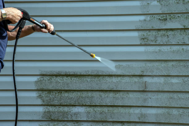 Best Best Pressure Washing Companies  in Flat Rock, NC